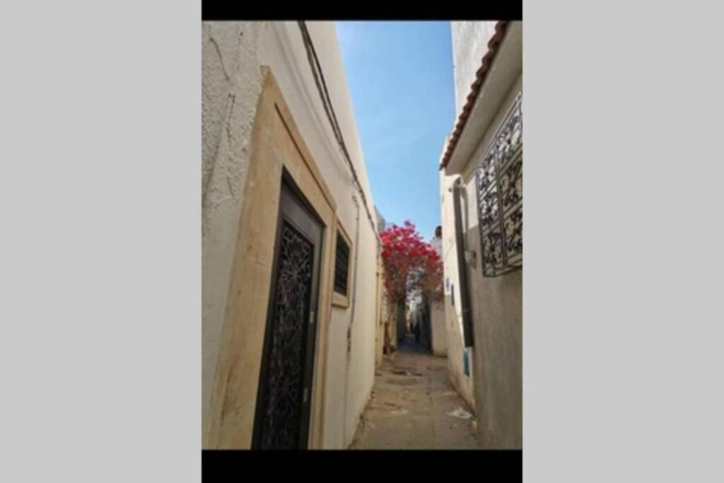 Dar El Halfaouine Apartment Tunis Ngoại thất bức ảnh